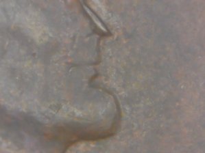 1955-P-No-Nose-Lincoln.--Stuck-Though-Or-Die-Cud-Or-Amd-Please-Help